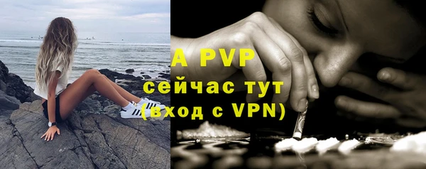 стаф Баксан