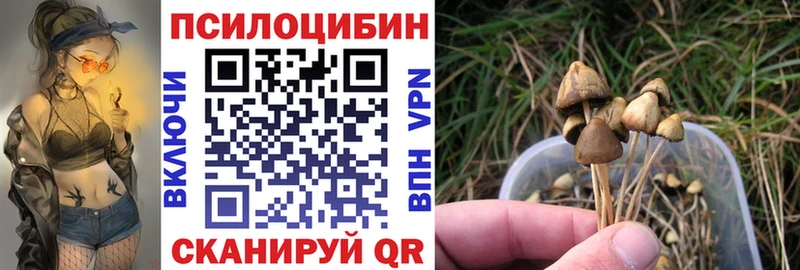 наркота  Горнозаводск  Галлюциногенные грибы Psilocybe 